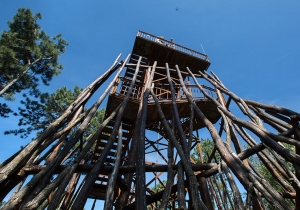 Egy &eacute;ve nyerte el &uacute;j, organikus k&uuml;lsej&eacute;t a fenyvesi Kil&aacute;t&oacute;