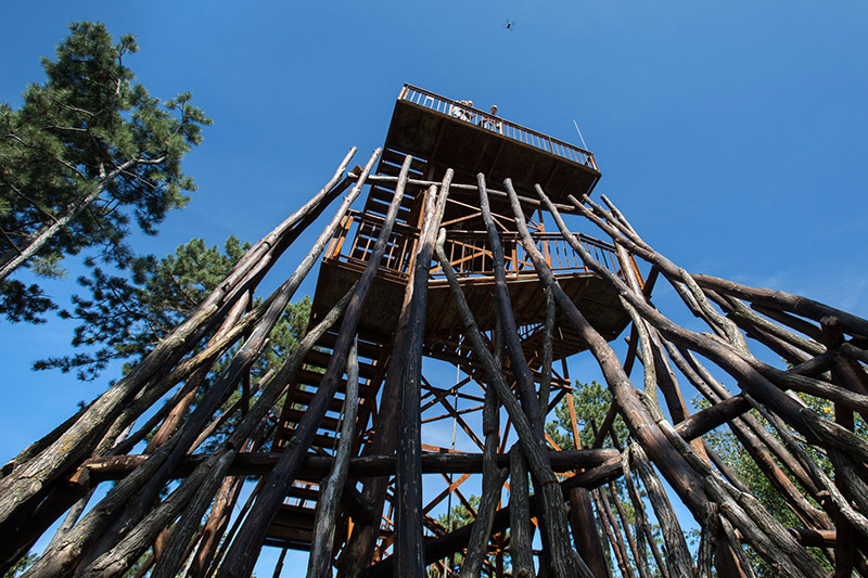 Egy éve nyerte el új, organikus külsejét a fenyvesi Kilátó