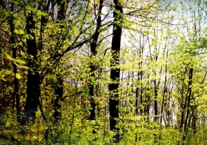 L&aacute;tv&aacute;nyosan alakulnak az attrakci&oacute;s helysz&iacute;nek 