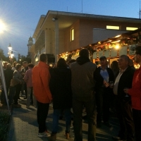 Tolnai Borok &Eacute;jszak&aacute;ja Tam&aacute;siban!