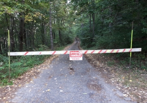 Tov&aacute;bbra is tart a munkater&uuml;let lez&aacute;r&aacute;s a fenyvesben