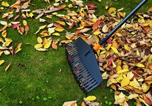 K&ouml;ztisztas&aacute;gi rendelet