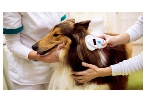 Ebtart&aacute;s t&aacute;j&eacute;koztat&oacute;