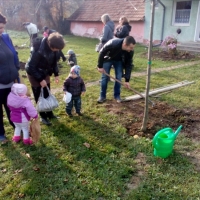 Fa&uuml;ltet&eacute;s a a Sz&eacute;chenyi Istv&aacute;n utca elej&eacute;n