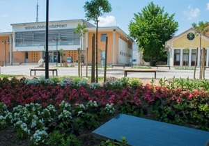 Vir&aacute;gba borult a v&aacute;ros