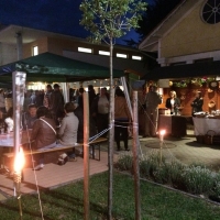 Tolnai Borok &Eacute;jszak&aacute;ja Tam&aacute;siban!