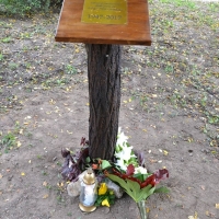 70 &eacute;ves a Gimn&aacute;zium