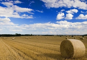 T&aacute;j&eacute;koztat&oacute;