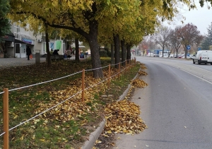 T&aacute;j&eacute;koztat&oacute; a 65. sz&aacute;m&uacute; fő&uacute;t melletti z&ouml;ldfel&uuml;let elker&iacute;t&eacute;s&eacute;ről