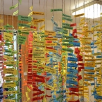 70 &eacute;ves a Gimn&aacute;zium