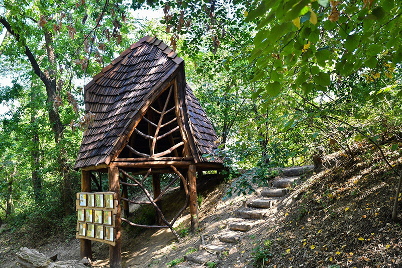 Egy éve nyerte el új, organikus külsejét a fenyvesi Kilátó