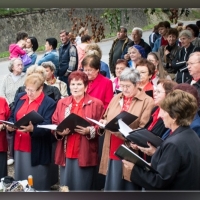 Fot&oacute;: Wolf D&aacute;vid