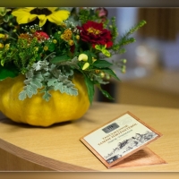 Fot&oacute;: Wolf D&aacute;vid