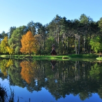 tamasi-aranyoldalak-05