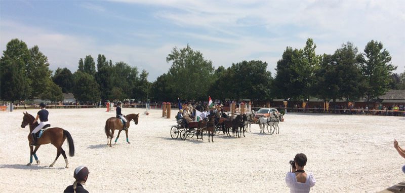 57. Tamási Lovas Napok egy nemzetközi szintű pályán