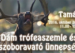 D&aacute;m tr&oacute;feaszemle &eacute;s szoboravat&oacute; &uuml;nneps&eacute;g