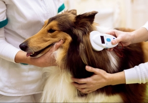 Ebtart&aacute;s t&aacute;j&eacute;koztat&oacute;