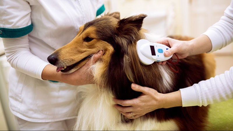 Ebtartás tájékoztató