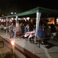 Tolnai Borok &Eacute;jszak&aacute;ja Tam&aacute;siban!