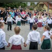 Fot&oacute;: Wolf D&aacute;vid