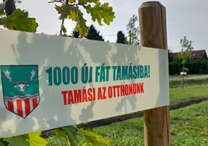 Folytat&oacute;dik az 1000 f&aacute;t Tam&aacute;siba program