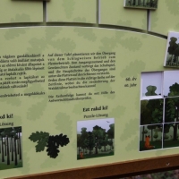 interaktiv-tablak-parkerdo12