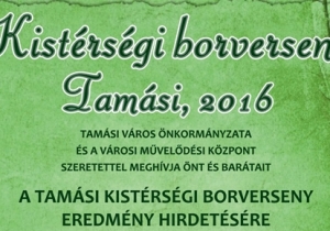 Kist&eacute;rs&eacute;gi borverseny 2016
