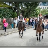 Fot&oacute;: Wolf D&aacute;vid