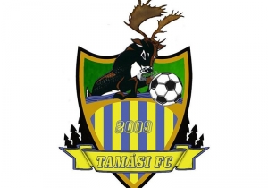 Tam&aacute;si 2009 FC - Teveli Medosz SE