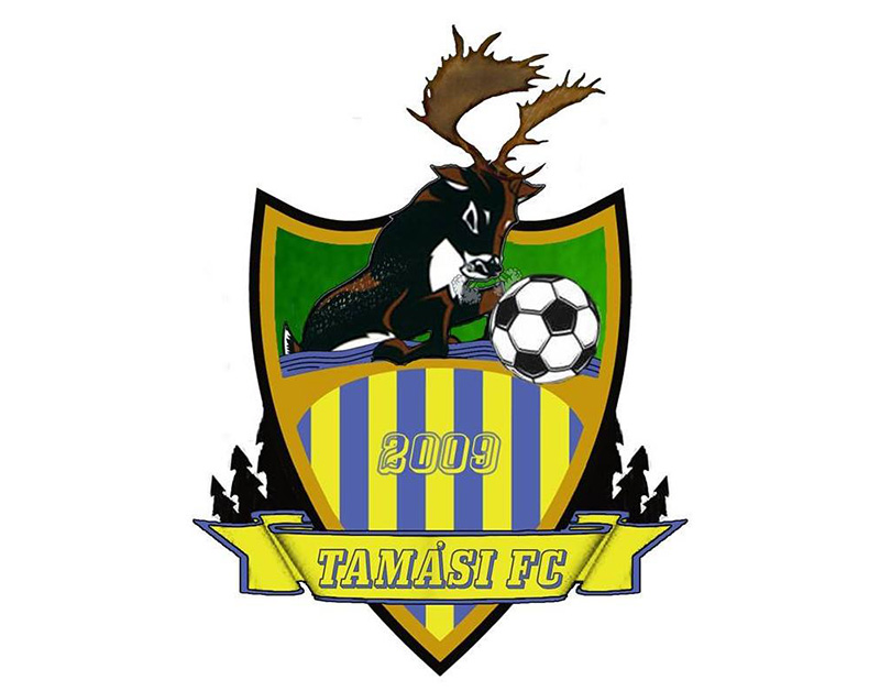 Tamási 2009 FC - Teveli Medosz SE