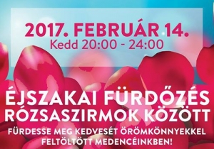 &Eacute;jszakai f&uuml;rdőz&eacute;s r&oacute;zsaszirmok k&ouml;z&ouml;tt