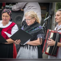 Fot&oacute;: Wolf D&aacute;vid