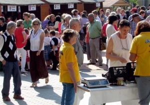 T&eacute;rs&eacute;gi term&eacute;kb&ouml;rze 2017