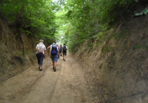&bdquo;S&aacute;gv&aacute;ri T&ouml;k&ouml;lő&rdquo; teljes&iacute;tm&eacute;nyt&uacute;ra