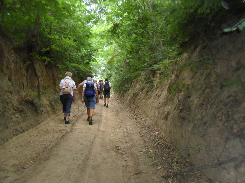 „Ságvári Tökölő” teljesítménytúra