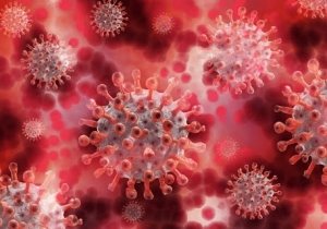 Ell&aacute;t&aacute;s biztos&iacute;t&aacute;sa j&aacute;rv&aacute;ny&uuml;gyi k&eacute;sz&uuml;lts&eacute;g idej&eacute;n