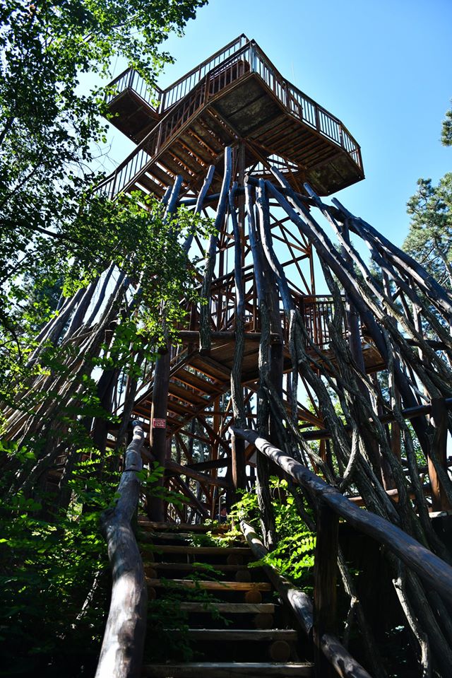 Egy éve nyerte el új, organikus külsejét a fenyvesi Kilátó