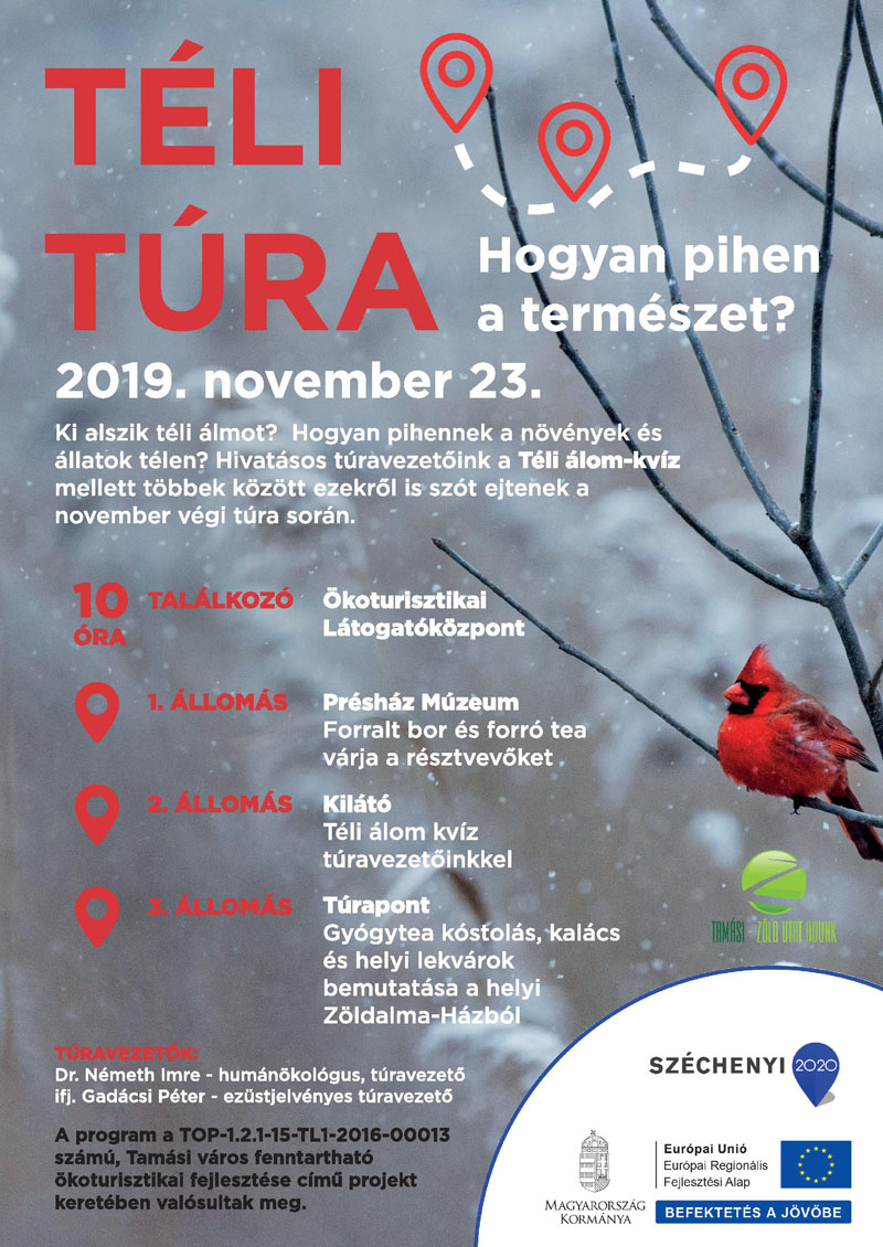 TÉLI TÚRA - Hogyan pihen a természet?