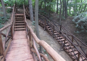 A k&ouml;rbej&aacute;rhat&oacute; t&uacute;ra&uacute;t visszavezet a term&eacute;szethez 