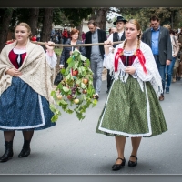 Fot&oacute;: Wolf D&aacute;vid