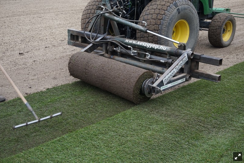 Gyepmesterek a pályán