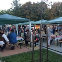 Tolnai Borok &Eacute;jszak&aacute;ja Tam&aacute;siban!