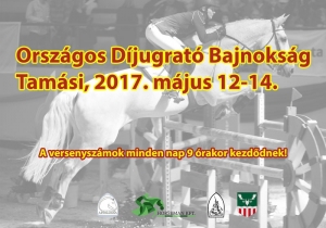 Orsz&aacute;gos d&iacute;jugrat&oacute; bajnoks&aacute;g 2017