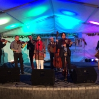 Tolnai Borok &Eacute;jszak&aacute;ja Tam&aacute;siban!