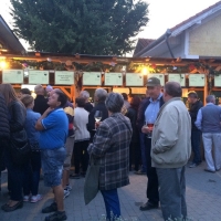 Tolnai Borok &Eacute;jszak&aacute;ja Tam&aacute;siban!