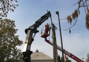 Elkezdőd&ouml;tt a kandel&aacute;berek cser&eacute;je a v&aacute;rosk&ouml;zpontban