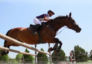 57. Tam&aacute;si Lovas Napok