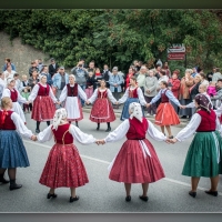 Fot&oacute;: Wolf D&aacute;vid