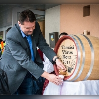 Fot&oacute;: Wolf D&aacute;vid