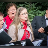 Fot&oacute;: Wolf D&aacute;vid